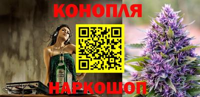 мдпв Камышлов