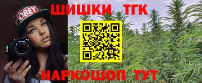 шишки Канаш