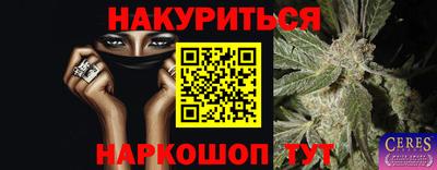 мдпв Камышлов