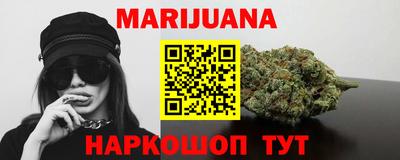 мдпв Камышлов