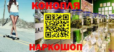 мдпв Камышлов