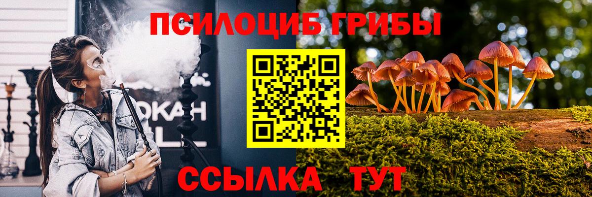 Псилоцибиновые грибы MAGIC MUSHROOMS  закладка  Вход с VPN  Кулебаки  Галлюциногенные грибы прущие грибы 