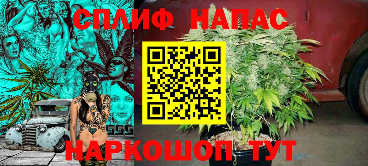 Бошки Шишки VHQ Кулебаки